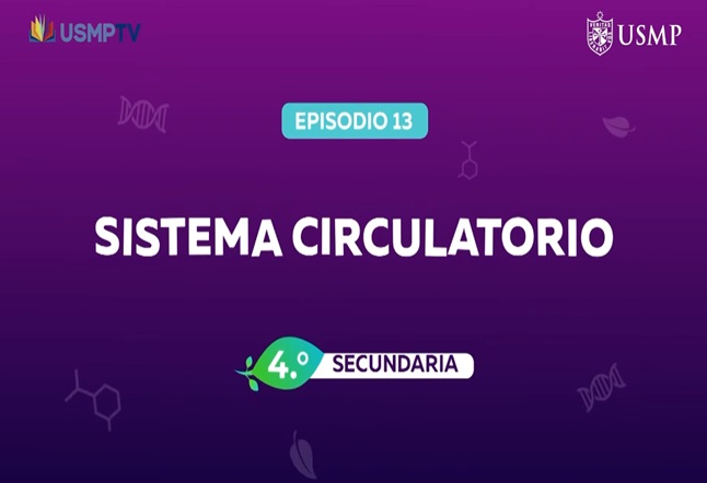 Capítulo N° 13 - Sistema Circulatorio
